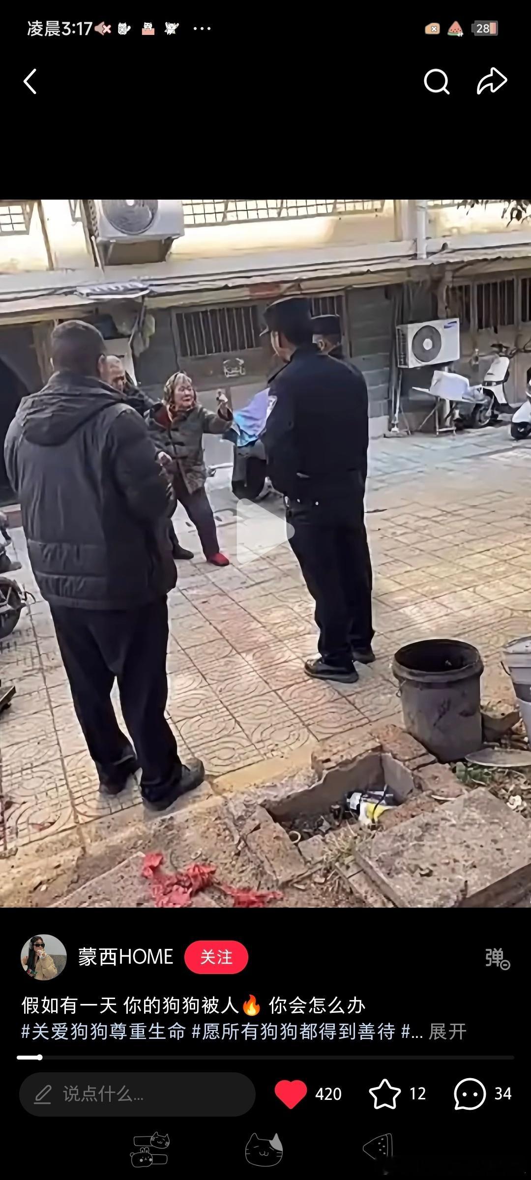 纵火+虐动物，这么点孩子竟能做出来！只赔钱不追责，他根本没悔意，长大还会拿来显摆