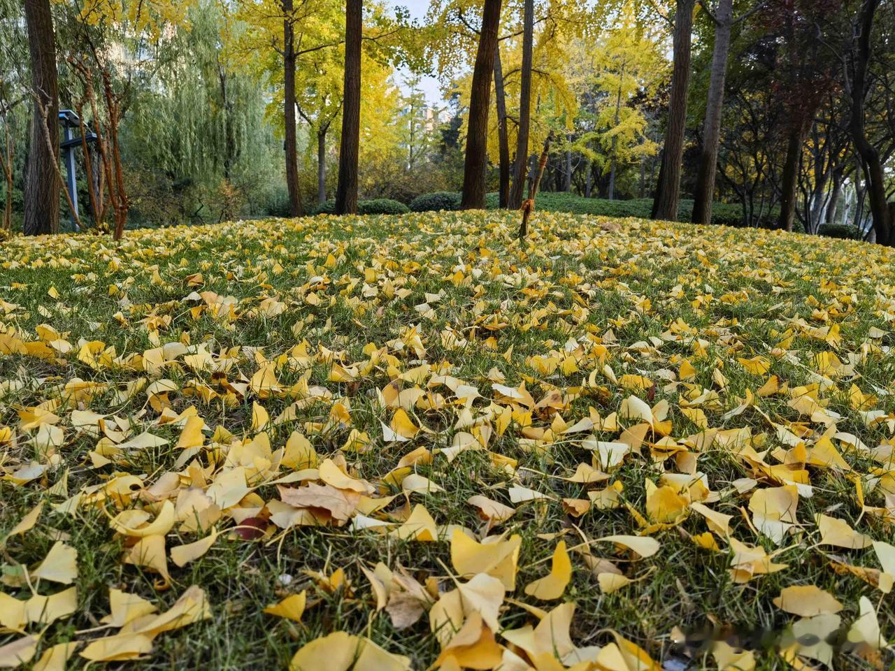 禅定周末•点亮美好

          又是周末闲适时。
          