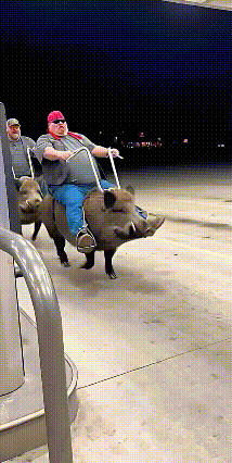 这摩托不错，
零油耗，
无污染，
值得推广！
[捂脸][捂脸][捂脸][捂脸][