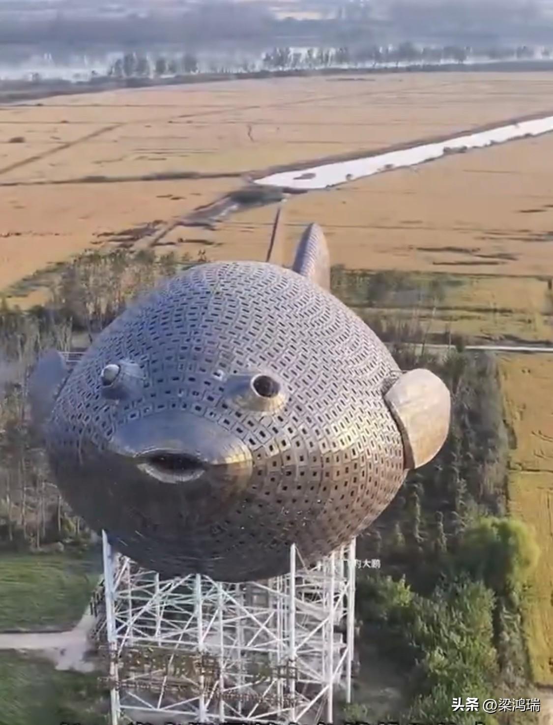 最有价值的铺张浪费和面子工程！
有心栽花花不开，无心插柳柳成荫！
江苏扬中的那个