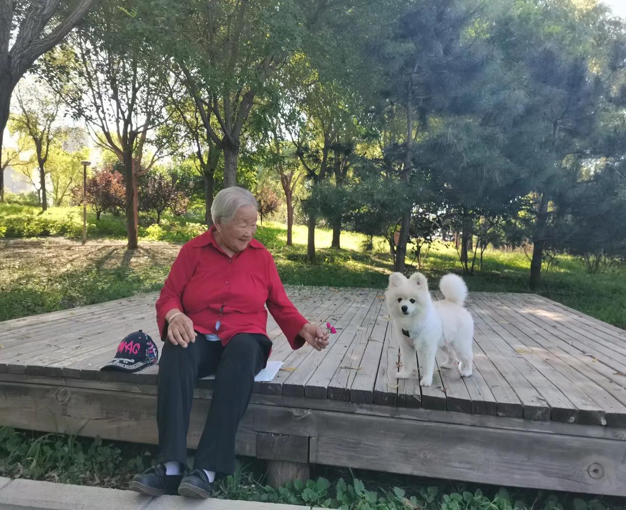 分享一下你随手拍的照片九十岁老岳母与小可爱（狗狗）同框。