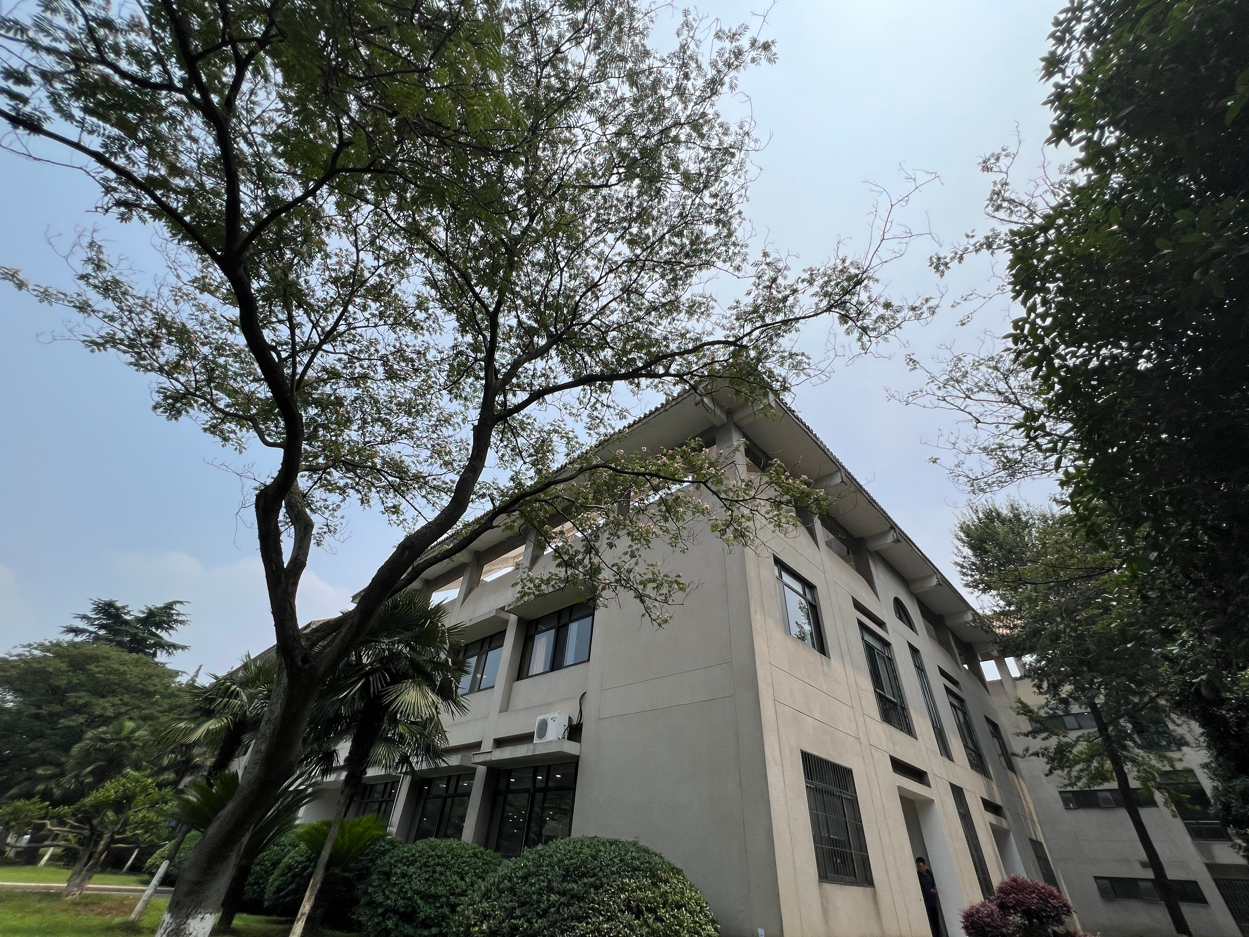中午到食堂就餐，拉面窗口排队人数较少，我点了一份凉拌面，快速吃完。 