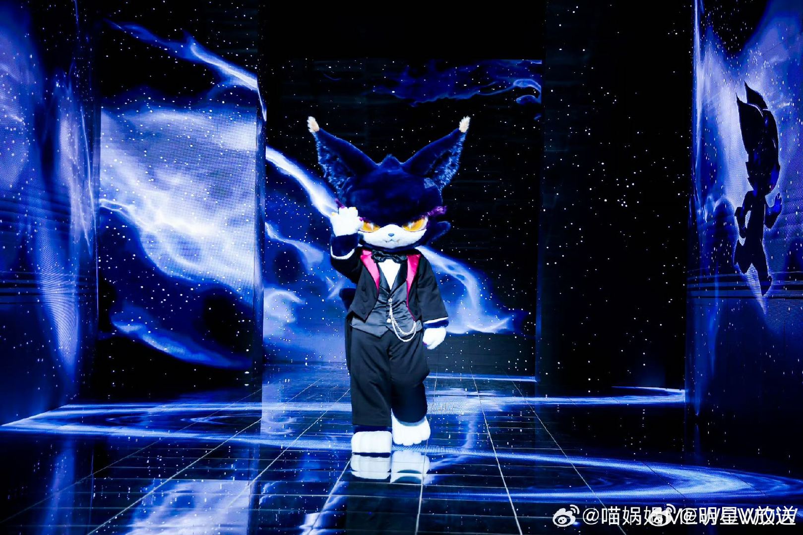 喵娲娲 星空毯主理人喵娲娲亮相微博之夜 喵小金本来约好要和伙伴们一起来微博之夜，