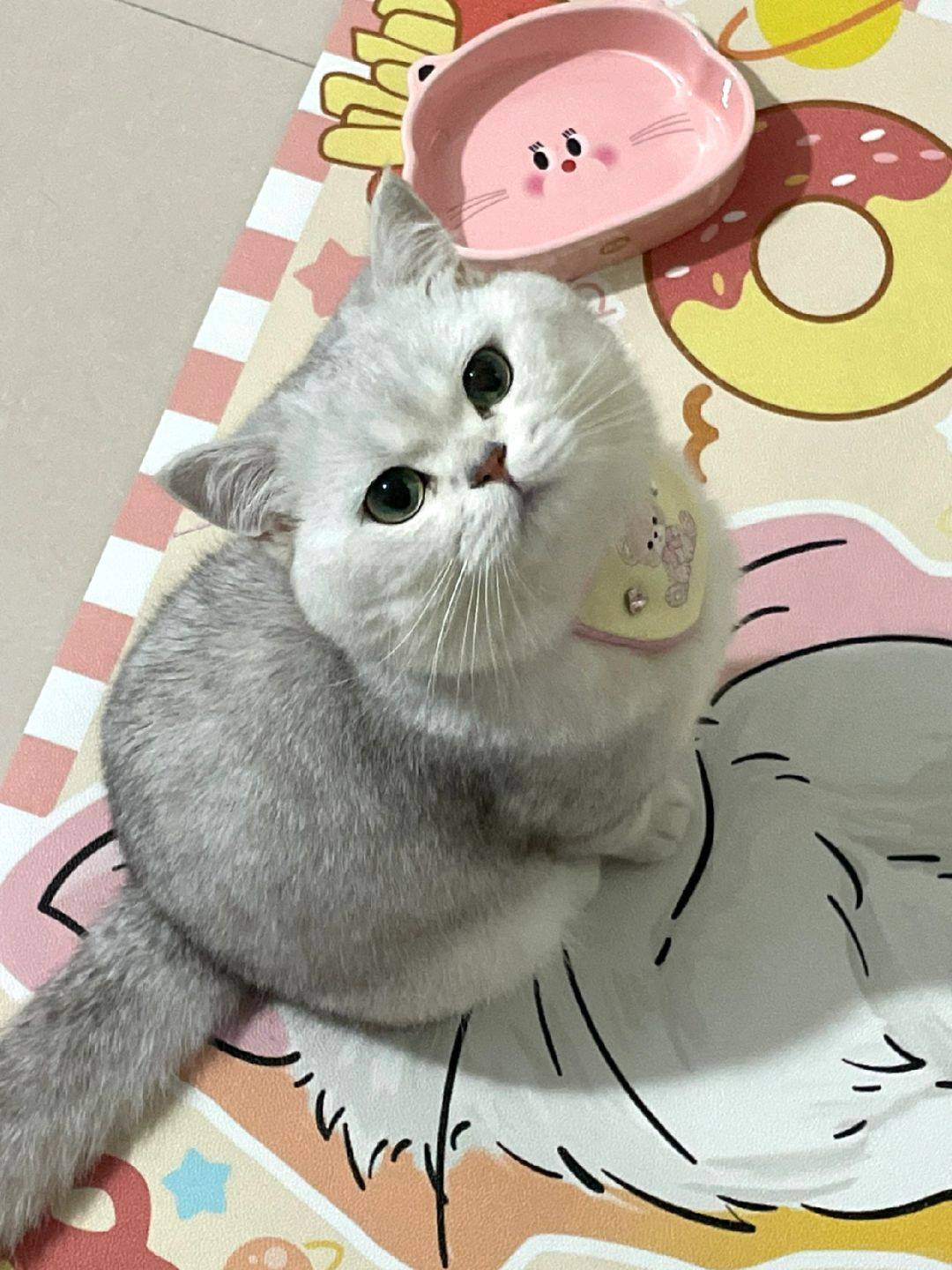 是我的可爱团团呀