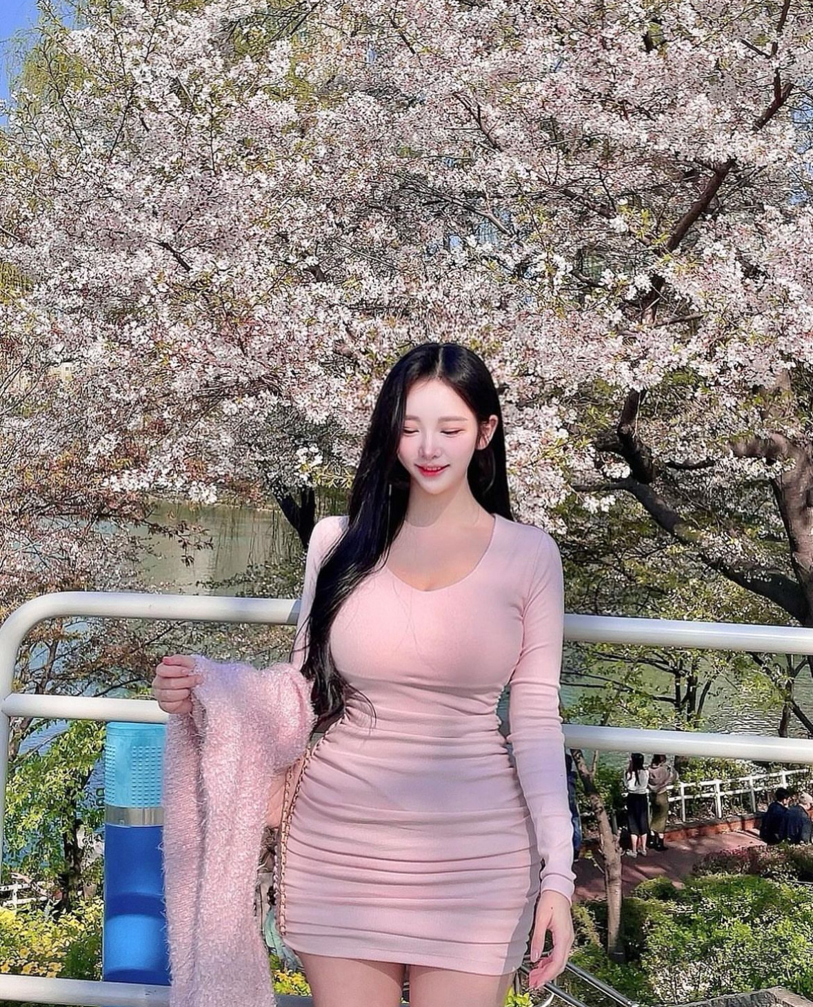樱花的季节 ​​​