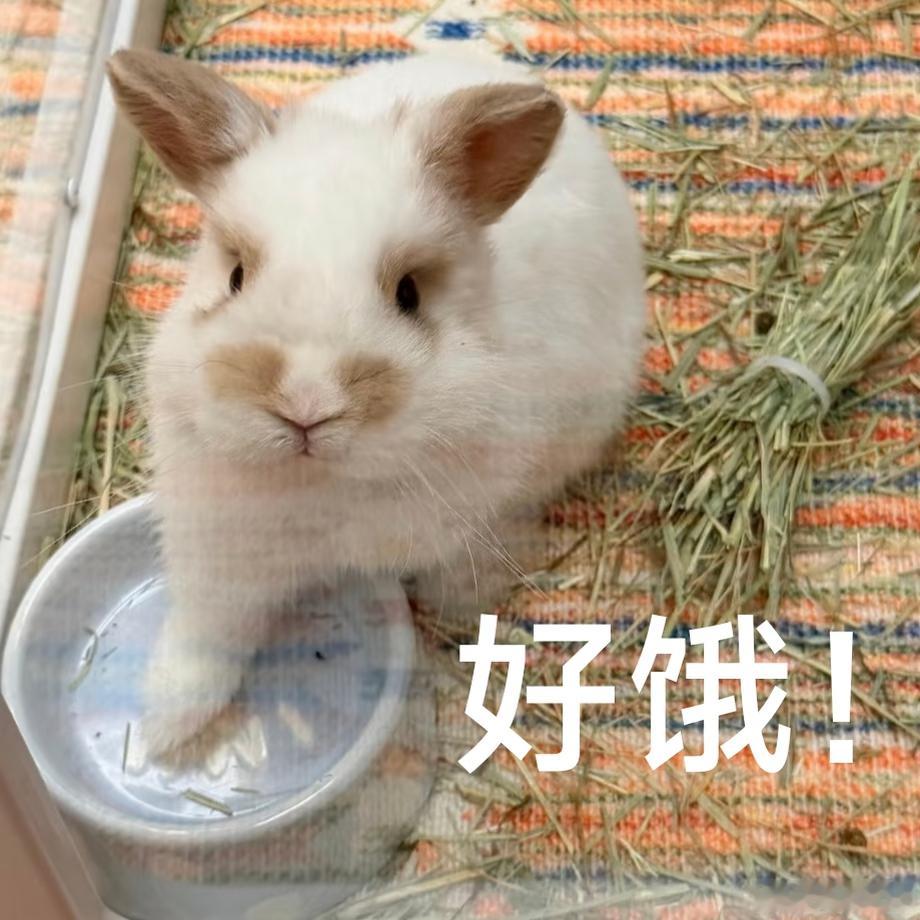 在我眼里田雷真的正在赏味期呀，之前太素太糊没机会没曝光，所以每次经历都在享受他的