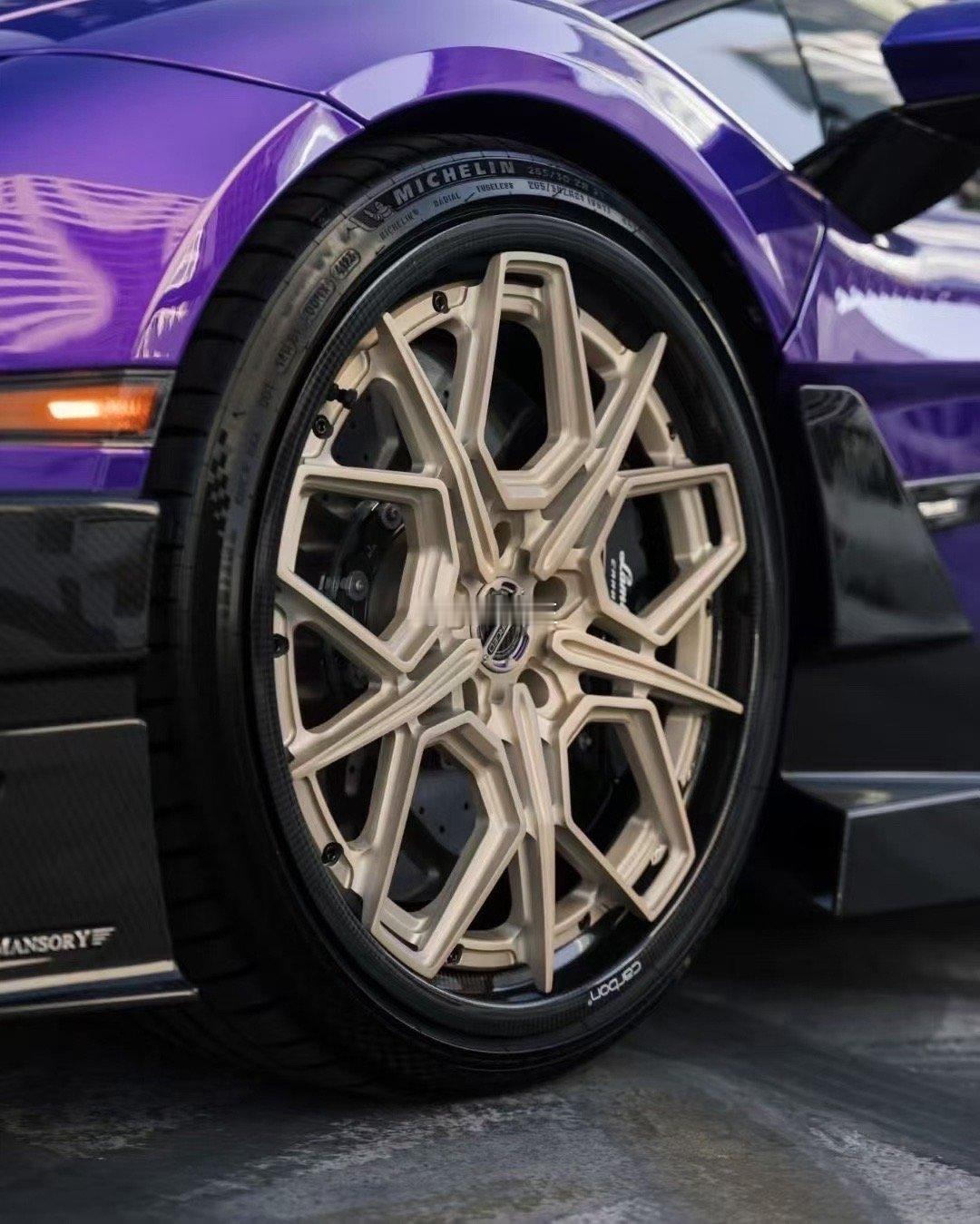 🇺🇸MV Forged  CR14 Carbon6™ 碳纤维桶身同Ferra