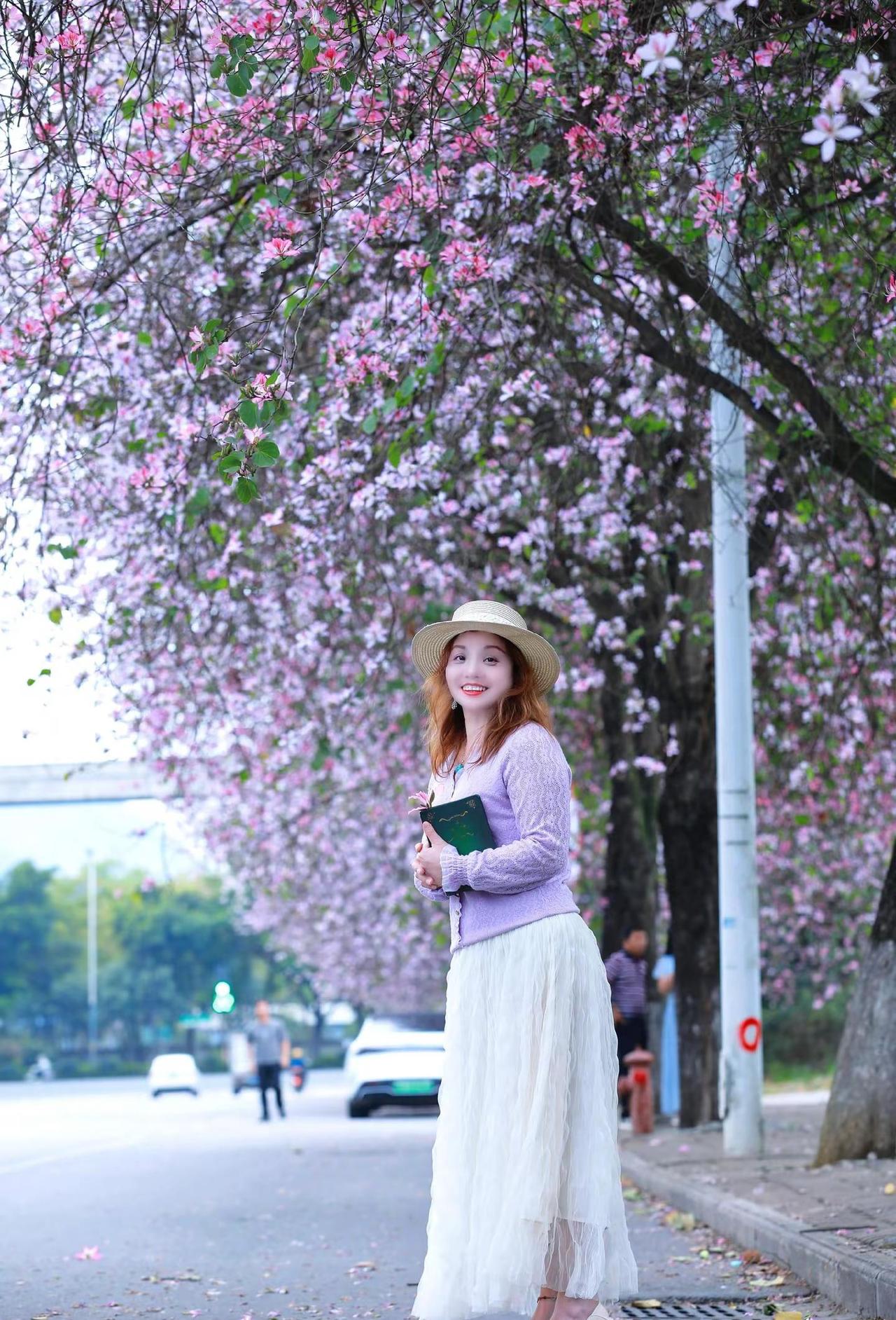 紫荆花盛开 浪漫花海 花海遇见你 春暖花开奔你而来 春的气息