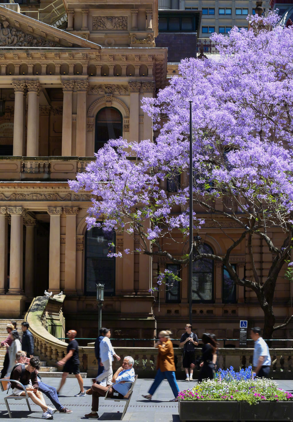 #澳大利亚未成年社媒禁令即将生效#【全球首例！澳大利亚16岁以下人群“社媒禁令”