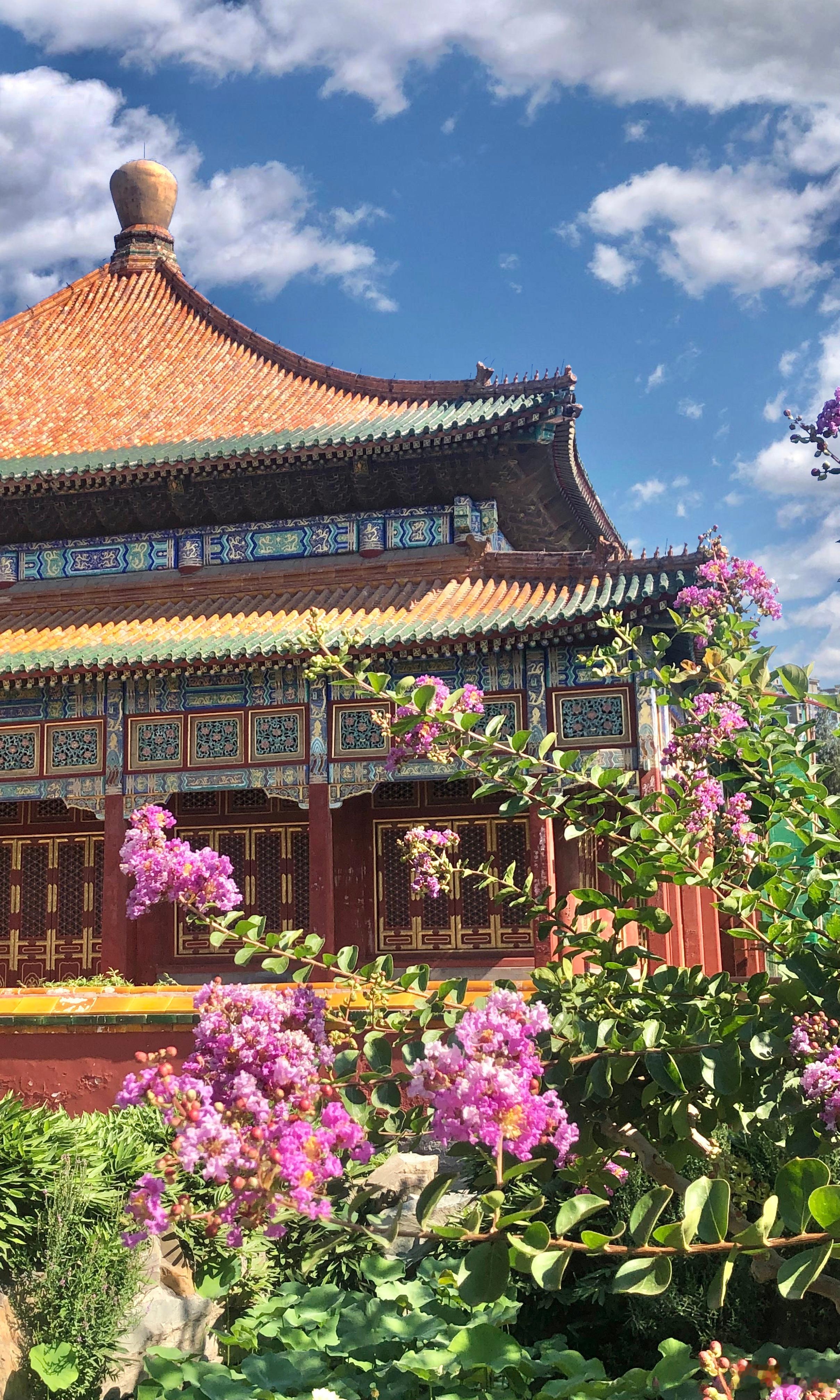 【北海公园·小西天紫薇花开】 明丽碧天霞，丰茸紫绶花……有人移上苑，犹足占年华。
