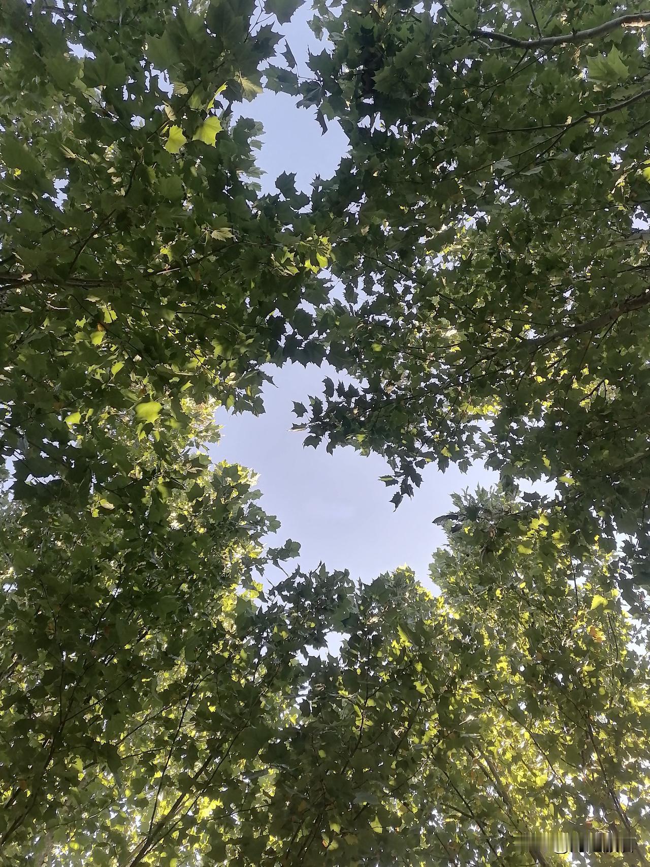 爱好一切值得体验的事物，记住一切美好的瞬间，把这些美好用语言表达出来就是诗歌，意