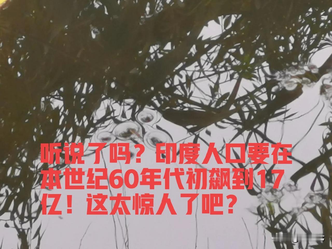 听说了吗？印度人口要在本世纪60年代初飙到17亿！这数字，简直是人口界的“卷王”