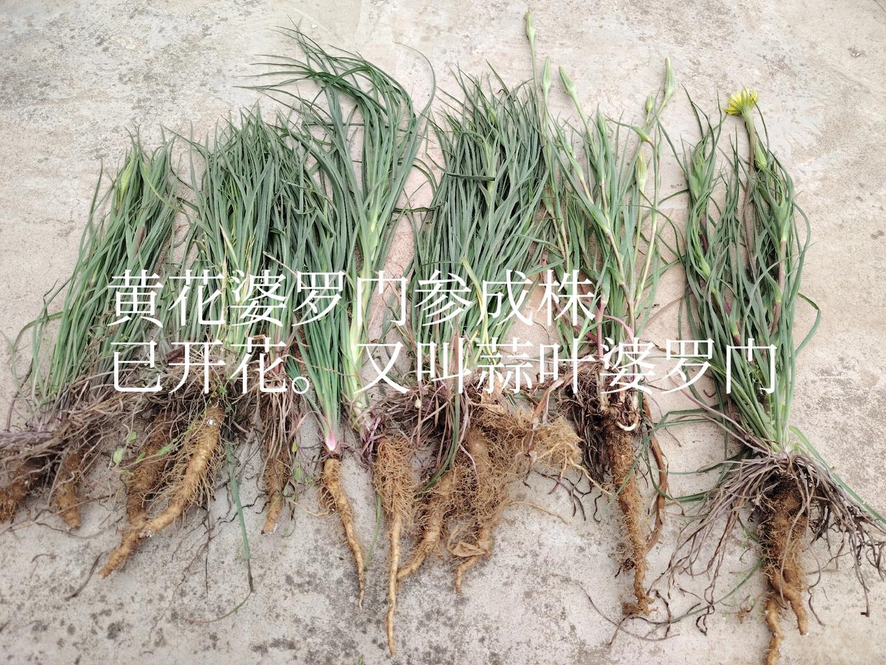 今日头条
--一一兔哥