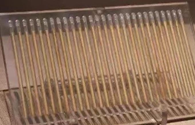 1971年，陕西工人老刘挖地基，挖出一窝通体肉红的老鼠崽儿。

铁锹停在半空，他