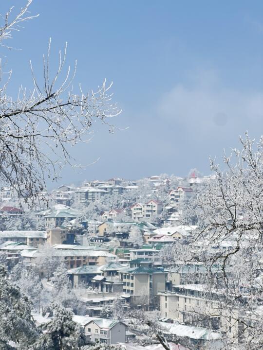 第一次来庐山看雪❄️听劝复制这条路线（2.23