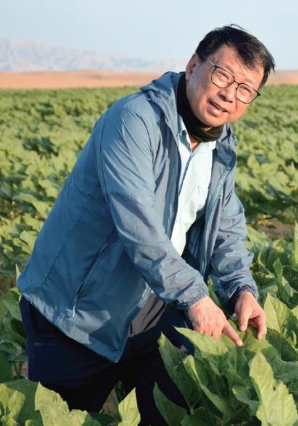 我国工程领域一次意外发现。2009年，重庆大学教授易志坚在研究材料力学过程中，偶
