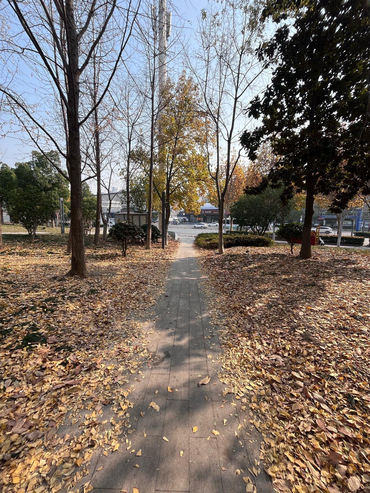 活到现在才懂：有些关系，走着走着就淡了！
 
以前总觉得，亲戚、朋友、老同事，处