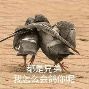 哈哈哈才看到好多人私信我啊[笑cry][笑cry][笑cry][笑cry]，下次