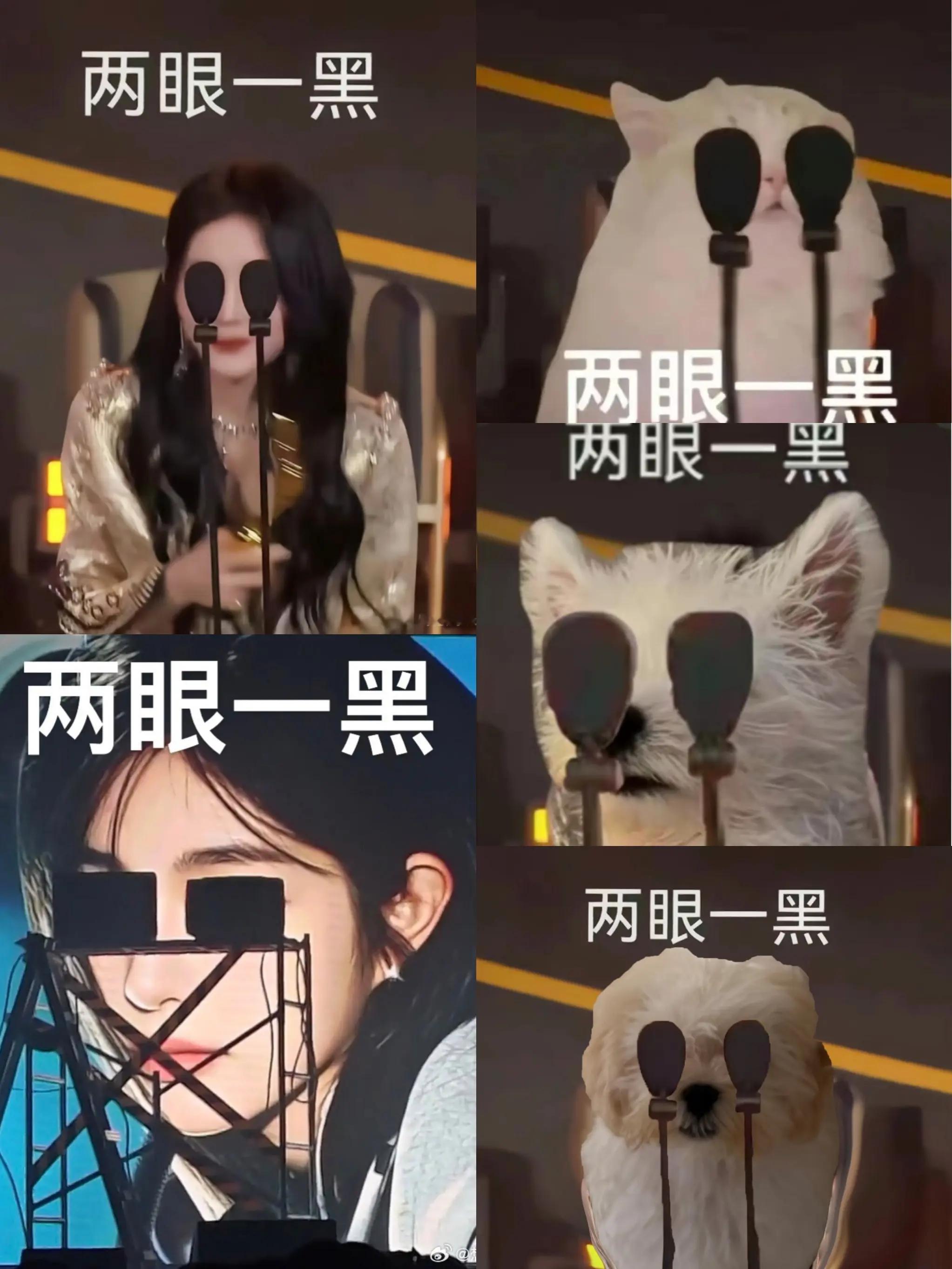 谁做的家族头像嘛