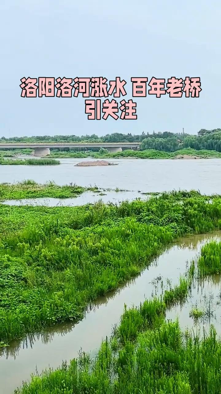 洛河水位上涨，老吴桥上看风光。
洛阳洛河涨水，百年老桥。洛阳连续暴雨，洛河这里涨