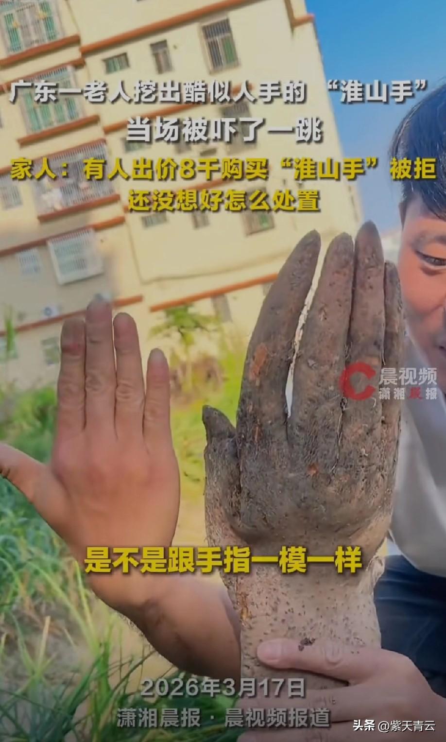 吓人一跳[笑哭]
但如果没有人为干预
那简直神了…[赞]