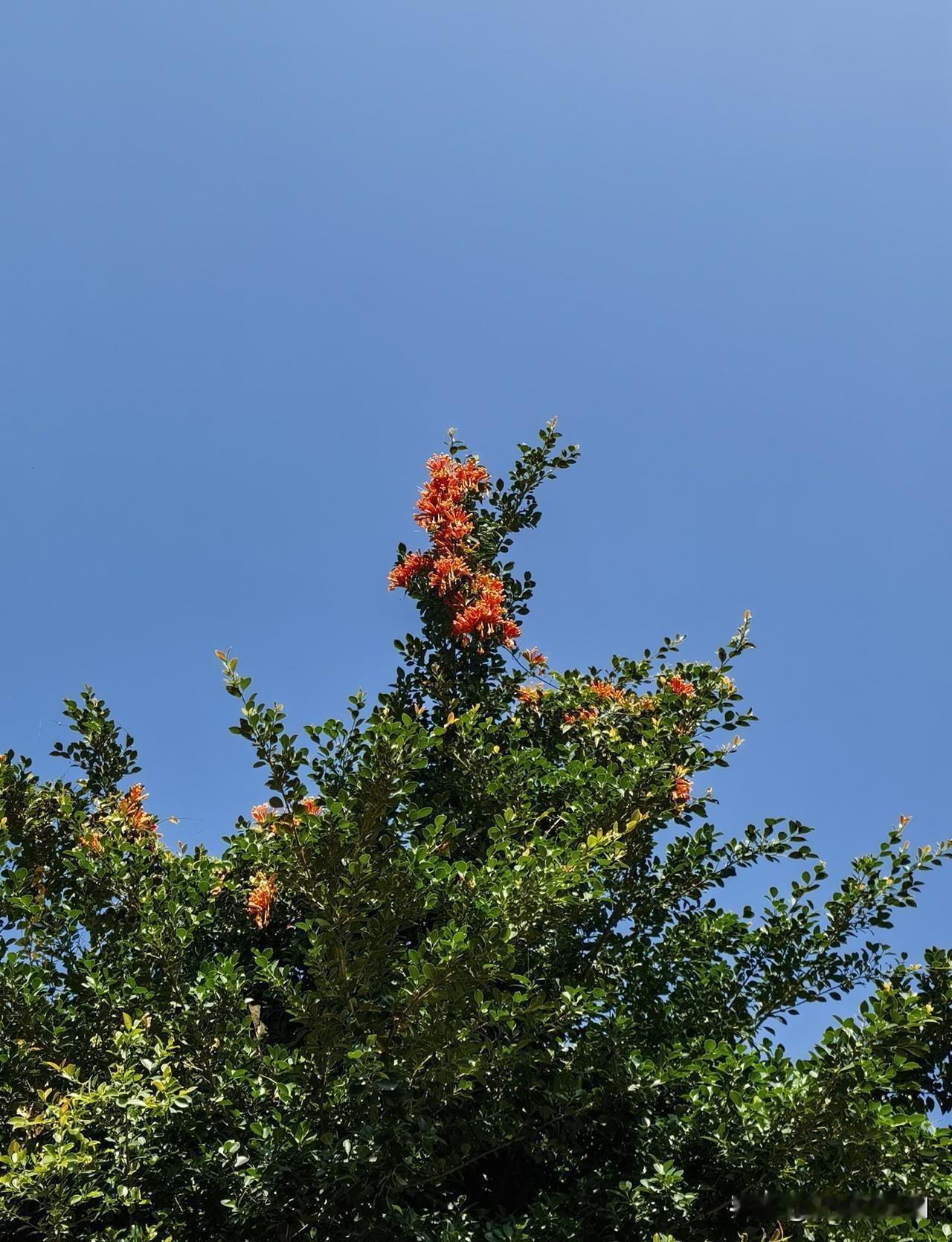 过年啦！过年啦！
策马扬鞭，奔赴美好！
辞旧迎新，马到成功！
今天是除夕，
家家