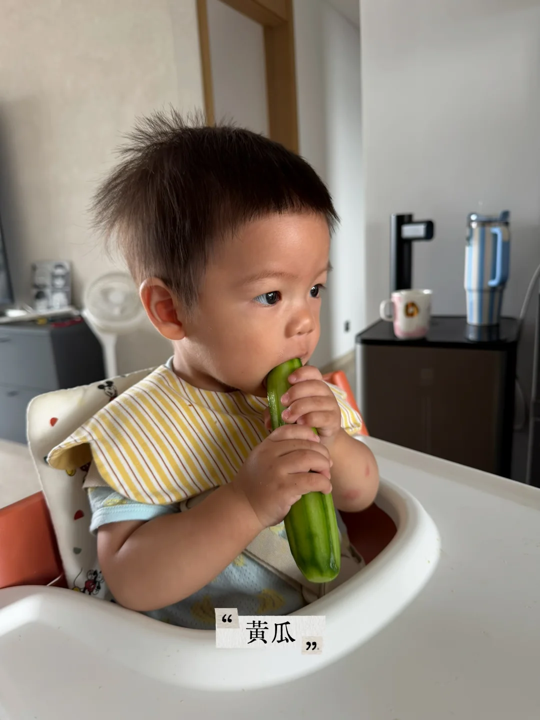 8月龄，整点手臂食物吃吃吧