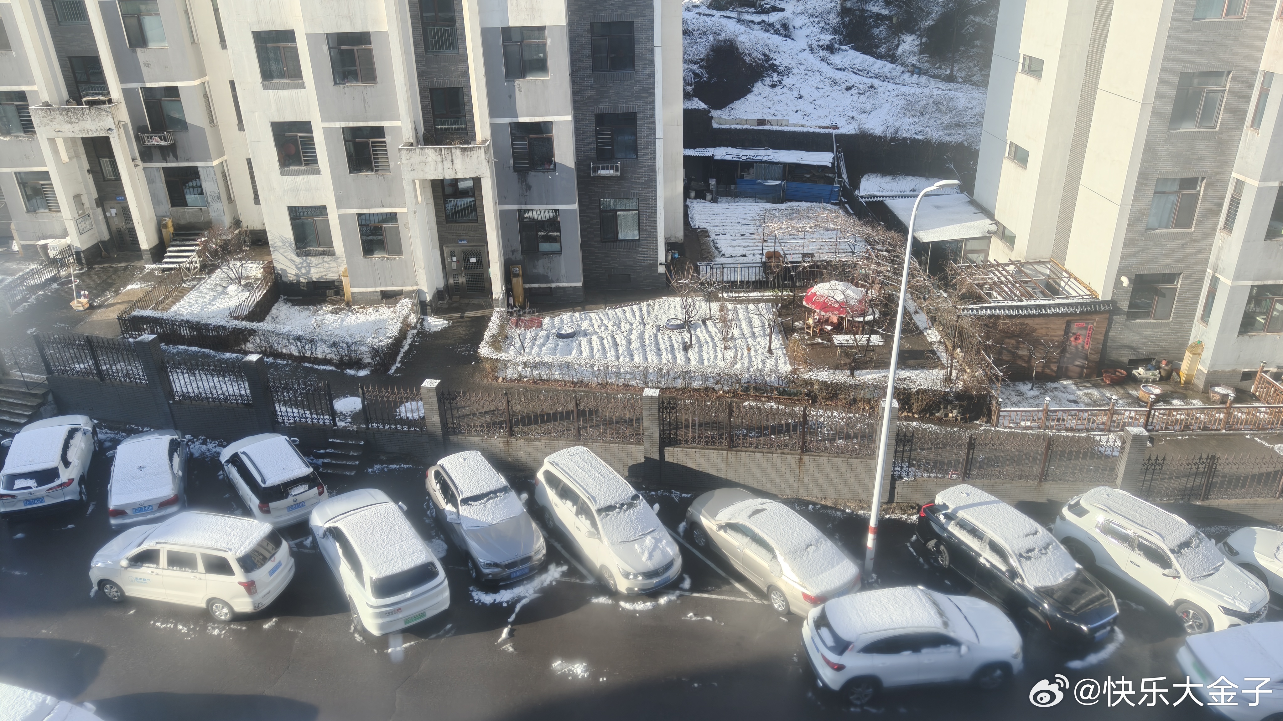 本溪昨晚下雪了大金子状态电竞大金子