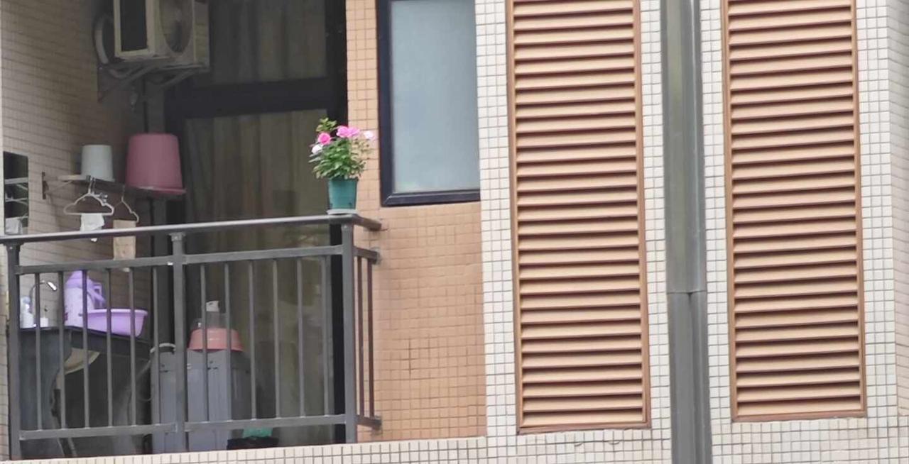同学，你在赌它雷阵雨不会掉下来吗
雷阵雨天气把花直接放在阳台栏杆上，被投诉过一次