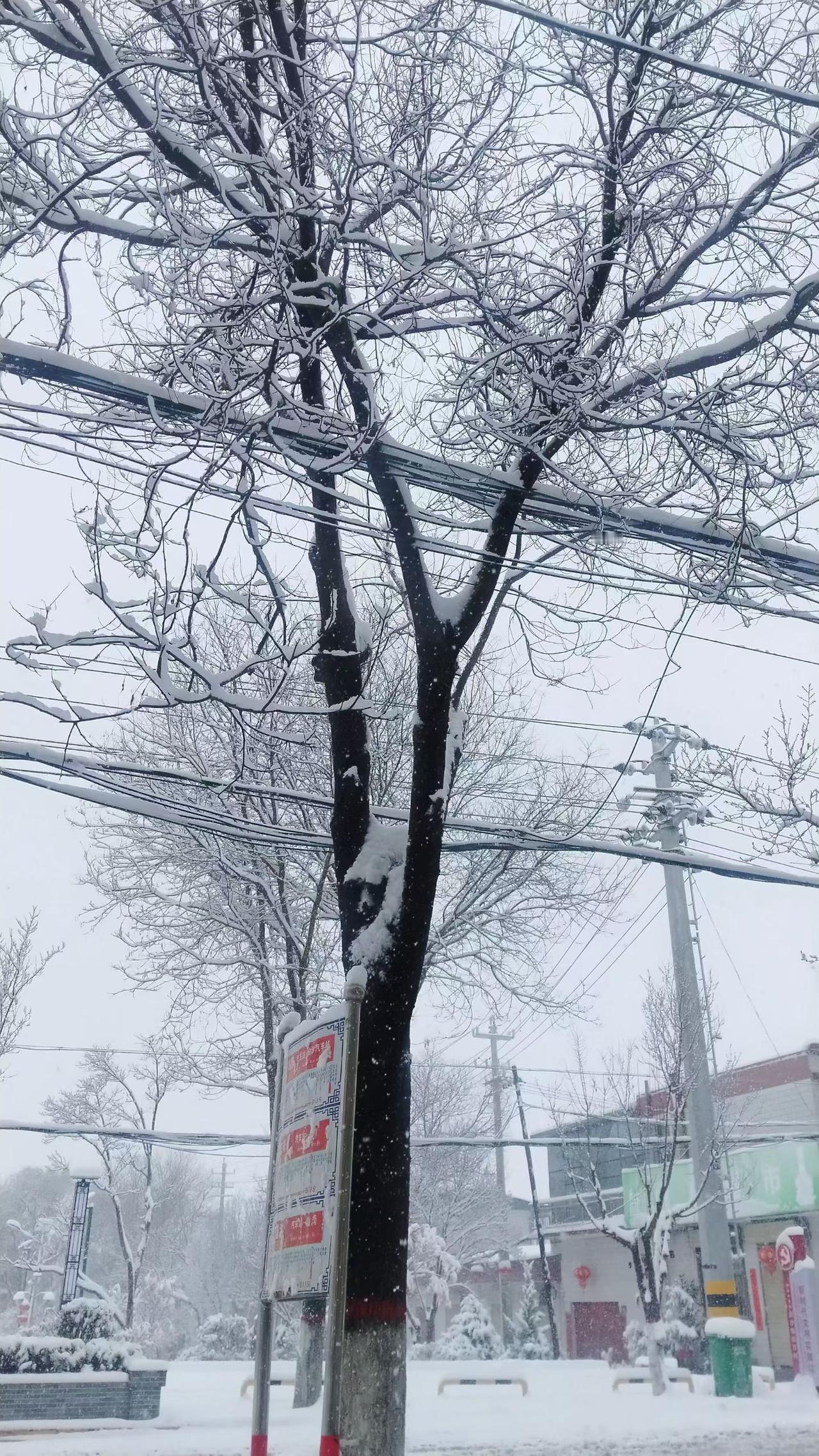 听别人说从今年以后，没有暴利行业了，只有微薄小利才是社会发展常态。

对此，你怎