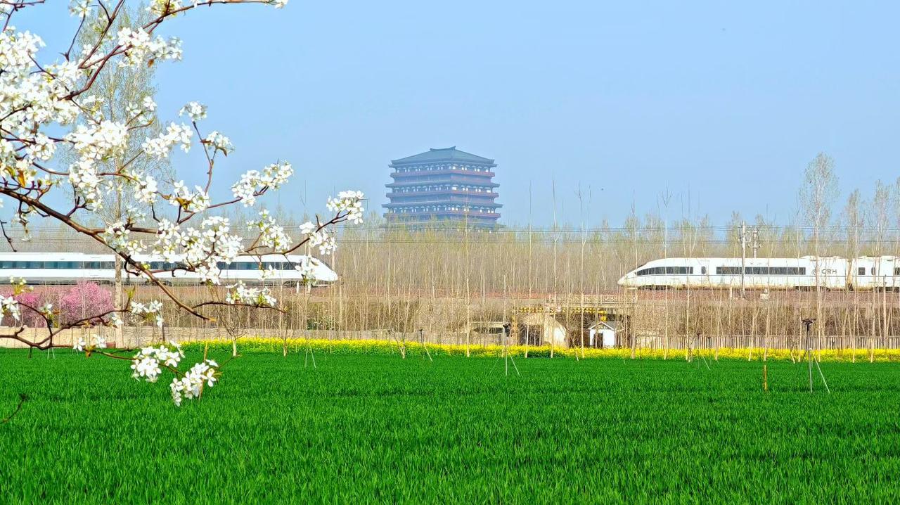 漫步郊外，春风和畅，看着绿油油的麦苗和各种盛开的鲜花，令人心旷神怡！
春天的美景