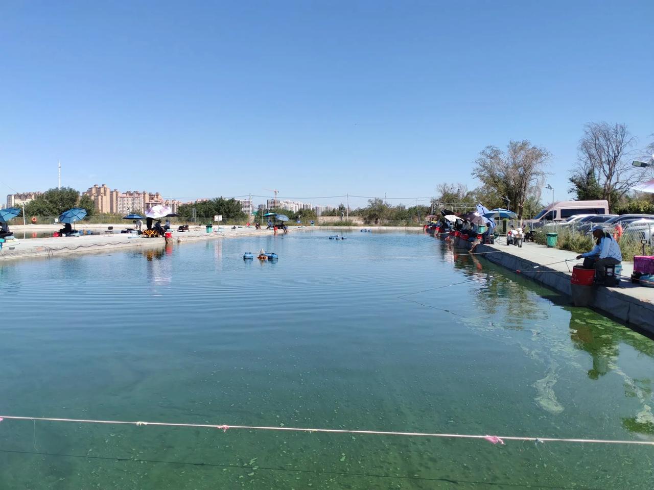 水磨河畔暖春园鱼塘，大周一上午，还是有很多清闲人钓鱼，这才是生活，基本是实现财务