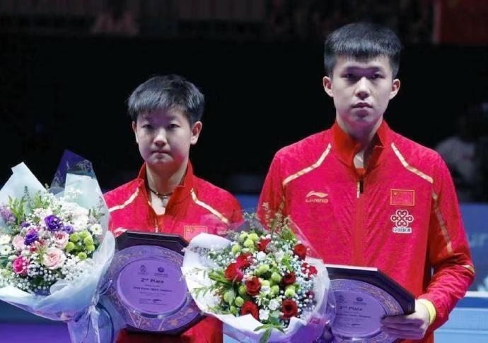 在2024年巴黎奥运会的乒乓球赛场上，樊振东的惊艳表现，不仅是一场技术的华丽展示