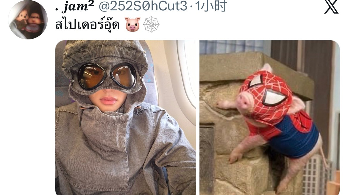 真的…啥图都有🐽 