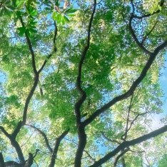 阳光信用[超话]阳光信用🍀互动打卡我未曾见过一个早起、勤奋、谨慎、诚实的人抱怨