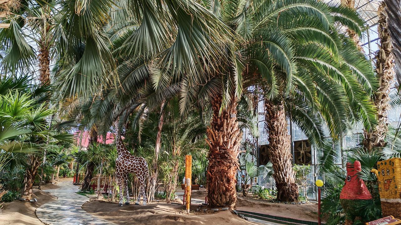 谁说北方看不到热带雨林风光？南街村观光园就能让你一秒穿越到南方。它在漯河市临颍县