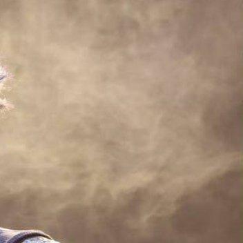 阳光信用 青春在奋斗中展现美丽，青春的美丽永远展现在她的奋斗拼搏之中。就像雄鹰的