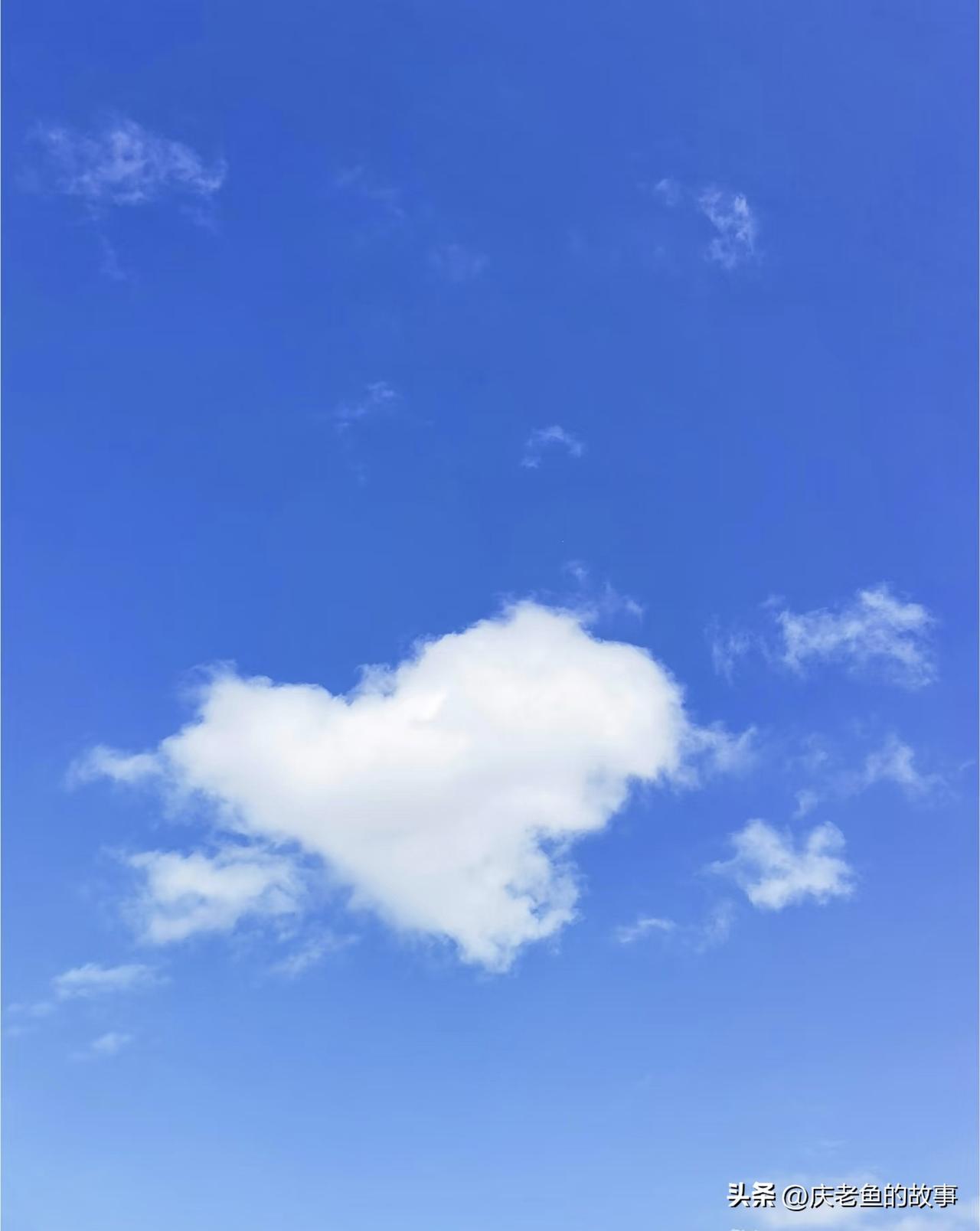 五十岁后最无声的炫富是：
能直起来的腰，
没有腰椎间盘突出。
不忌口，
水果点心