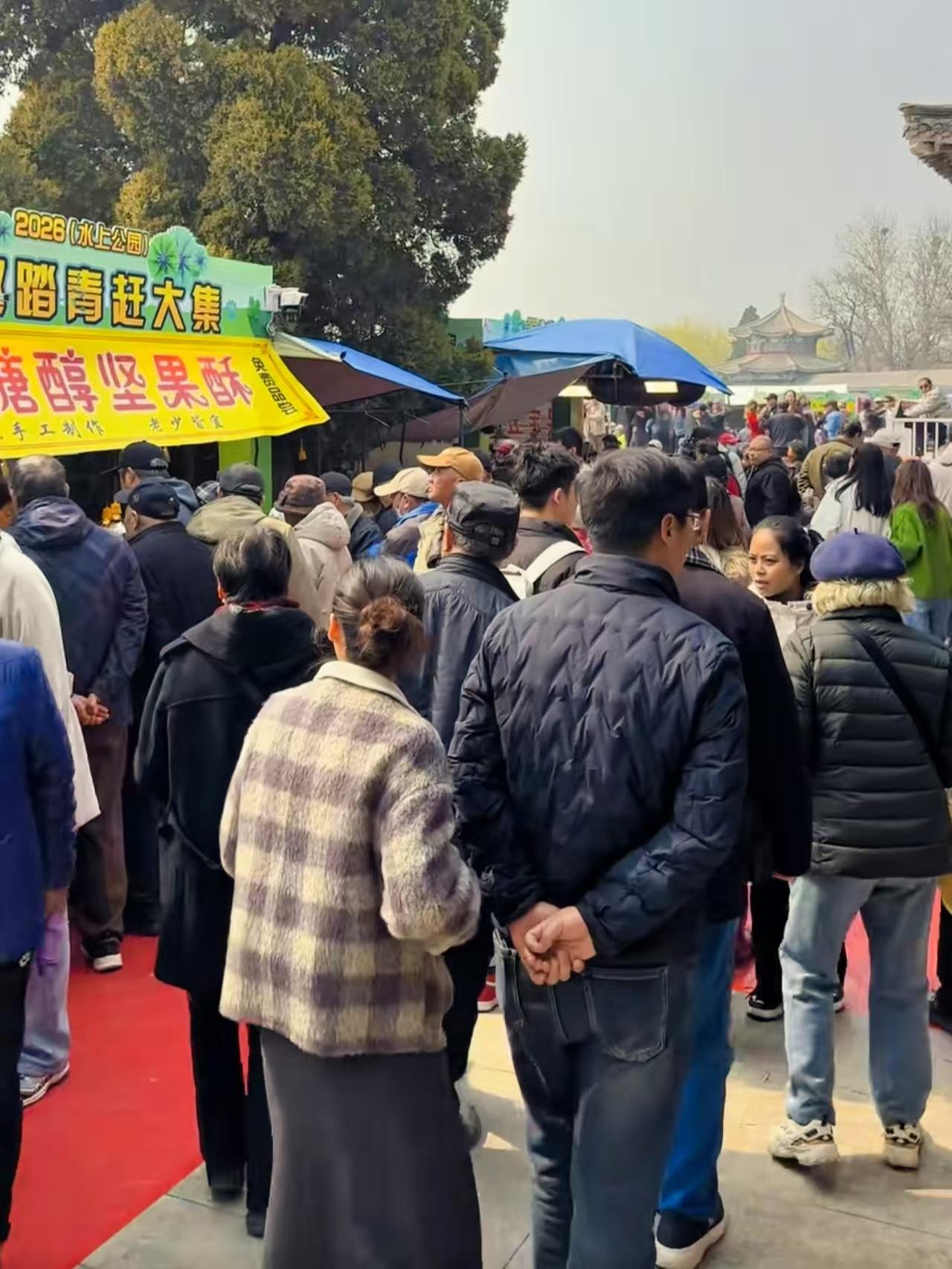 天津文化中心4月9号开大市集！全天不打烊，逛吃攻略速码

天津的家人们好消息！咱