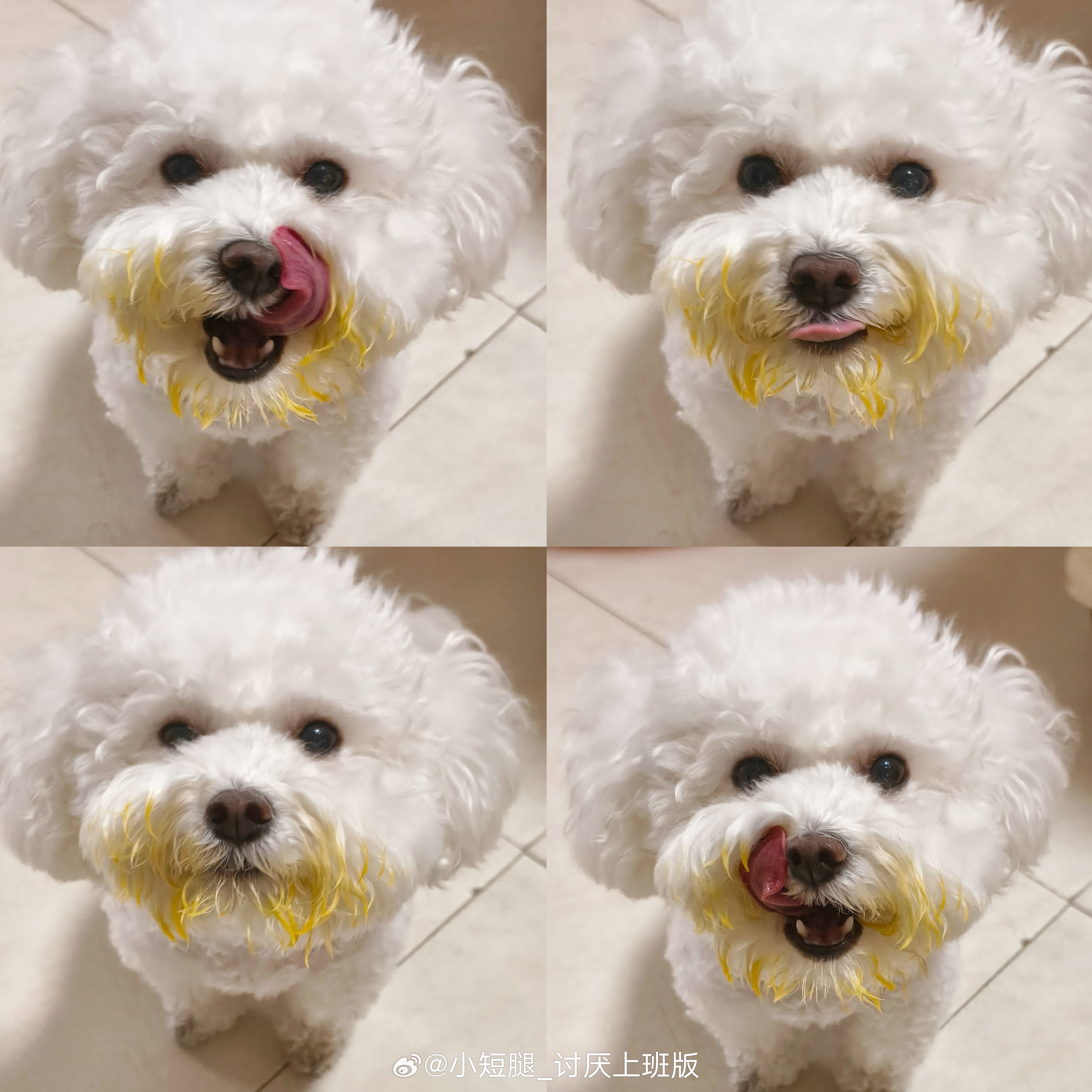 姨姨你听我说我真的没吃粑粑我吃的是小南瓜妈妈给我擦了三遍才擦干净 