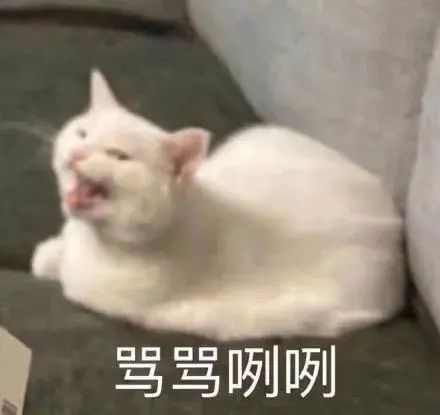 赶紧到夏天吧，我不想吃过敏药了 