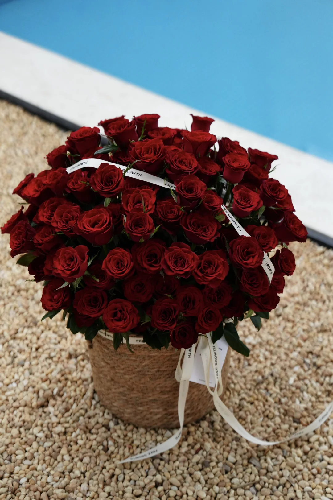 小得盈满 爱逢其时