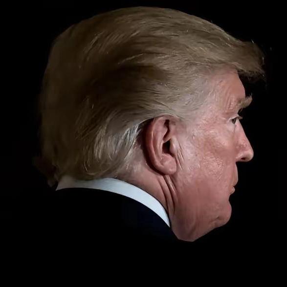 特朗普只是把实话说了出来在接受纽约时报采访时，特朗普说：“我不需要国际法，我的道