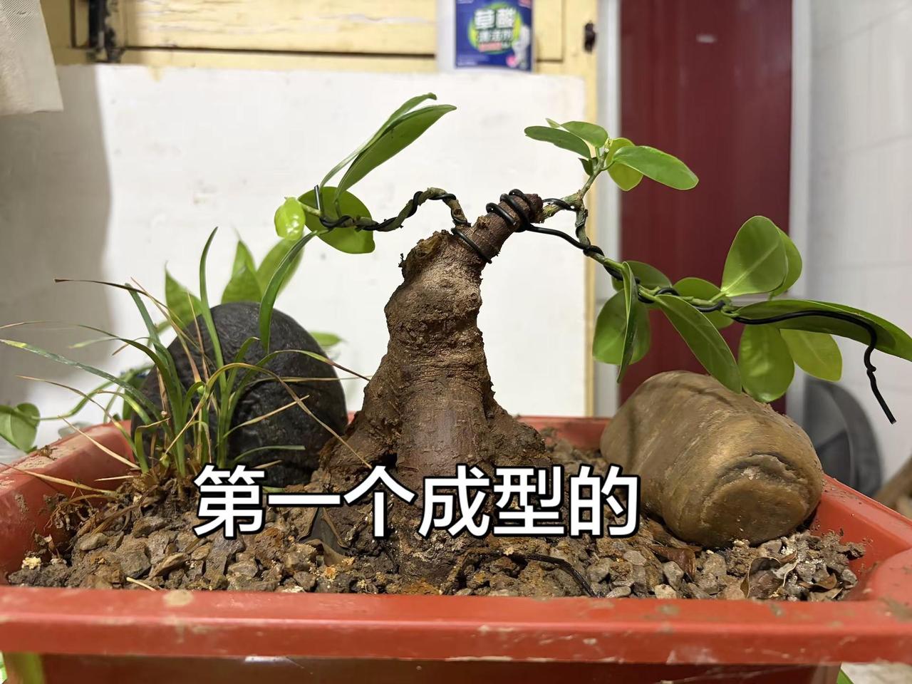下夜班，困得睡不着😂
