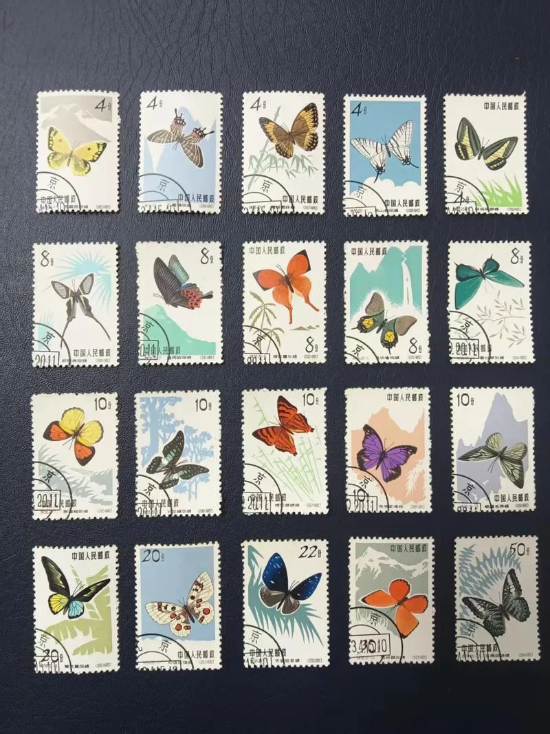 突然间没有收藏的动力了，波仔这是怎么了