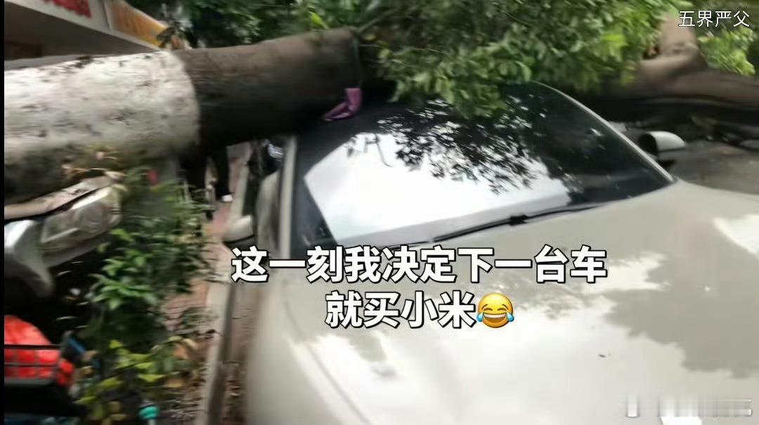 下一台车就买小米，你看这棵大树被小米SU7的超强刚A柱抗住了，硬刚倒了的大树，就