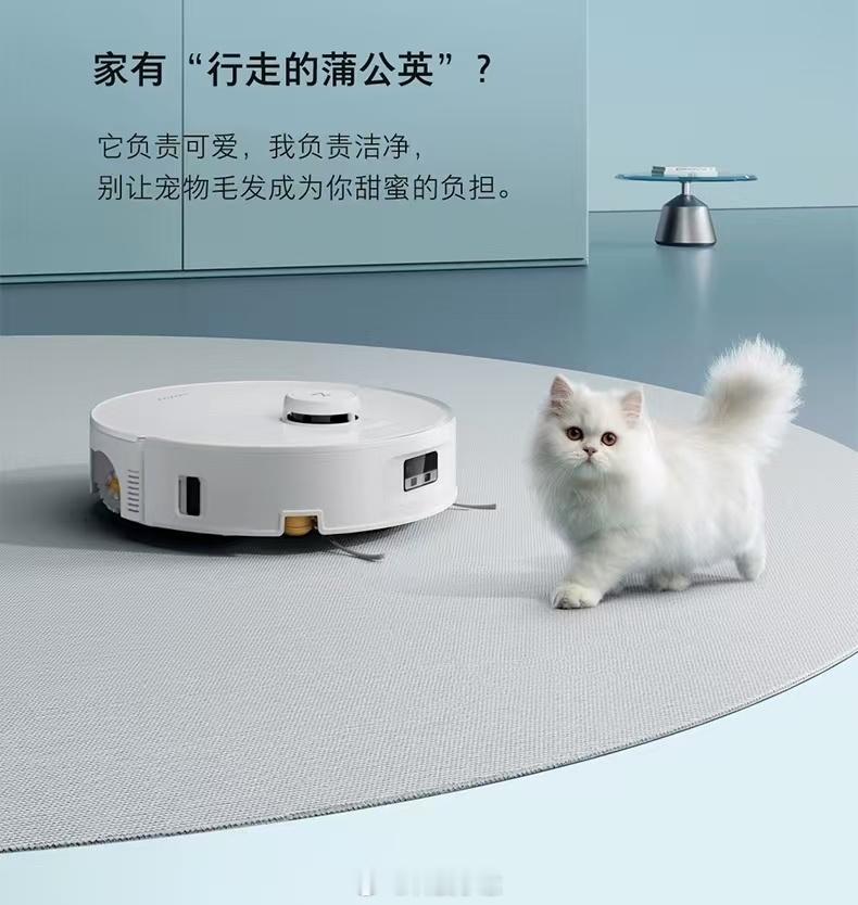 大扫除清洁家电怎么选 如果你是养猫狗家庭，可以看看扫地机器人，选吸力强的和防缠绕