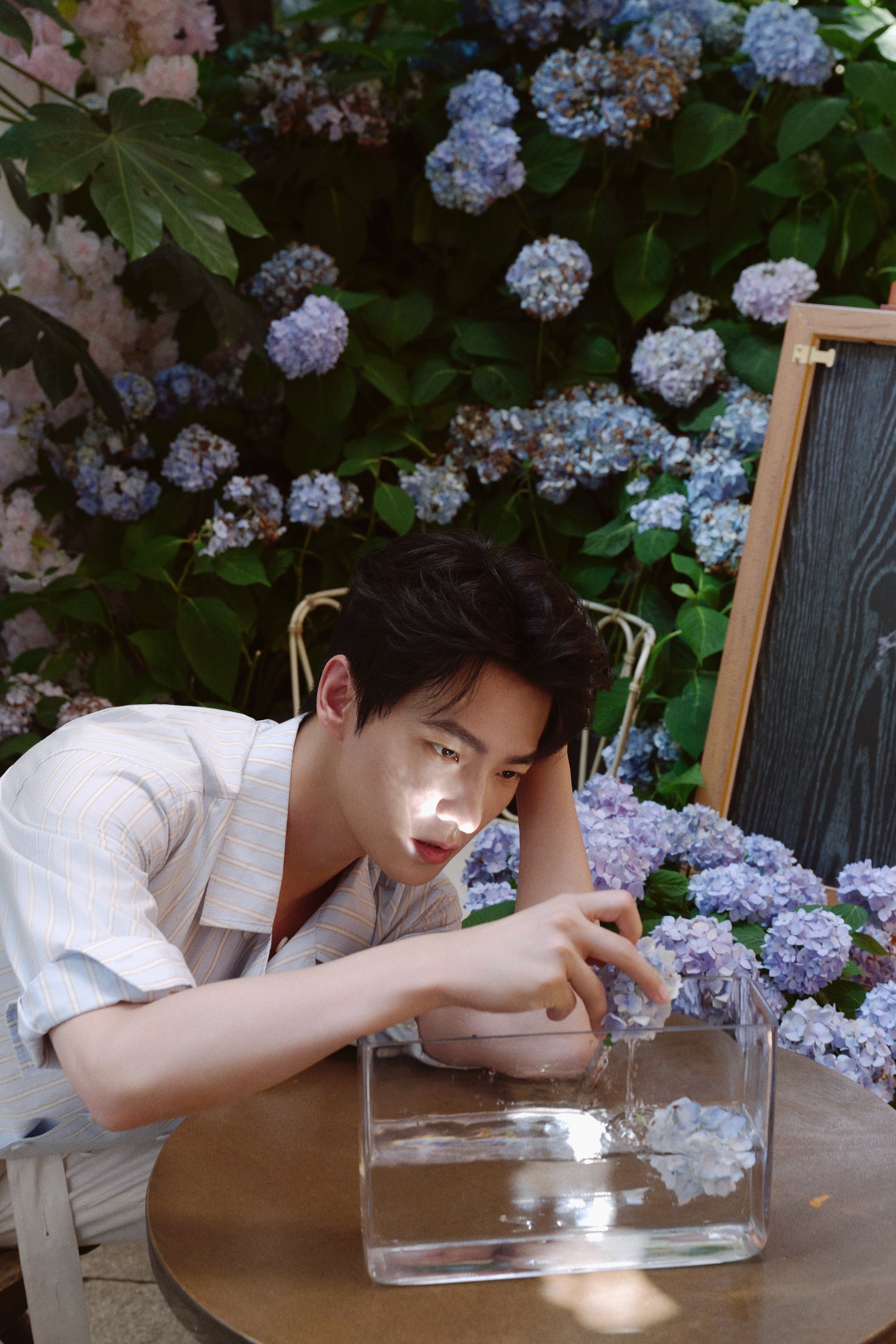 #杨洋蓝白纹衬衫##杨洋闻花# 杨洋今日活动造型又帅出新高度！蓝白纹衬衫造型真的