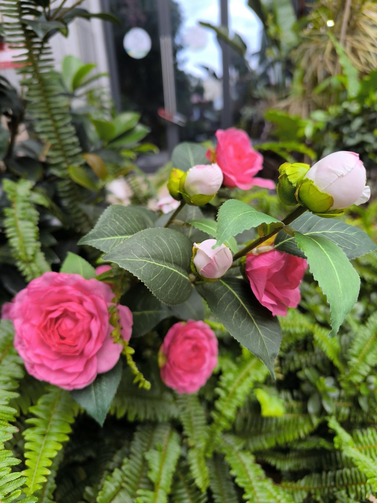 去实体店买鞋，竟然被店员嫌弃了。现在的实体店是越来越逛不得了，难怪越来越多的人选