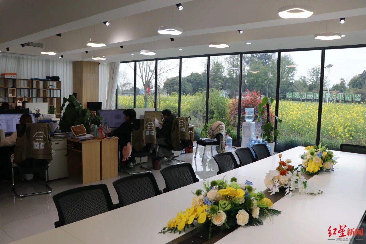 #一人公司长在油菜花田里#【把办公室搬到油菜花田！成都郫都首个AI赋能OPC生态